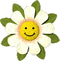 smiley daisy