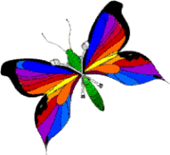 butterfly