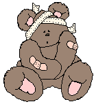 bandaged bear