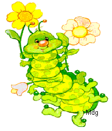 caterpillar