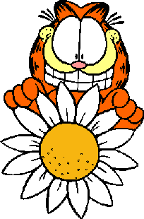 Garfield/daisy