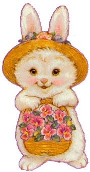 rabbit/flowers