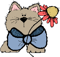 sad cat
