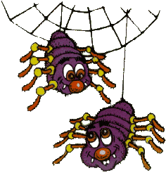 hanging spiders