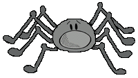 spider