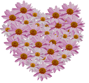 daisy/heart