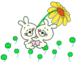 rabbits hugging