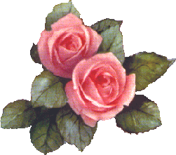 pink roses