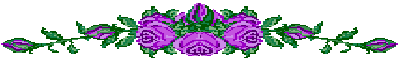 lavender roses