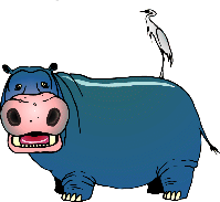 hippo & bird