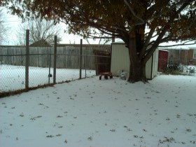 [Snow in Back]