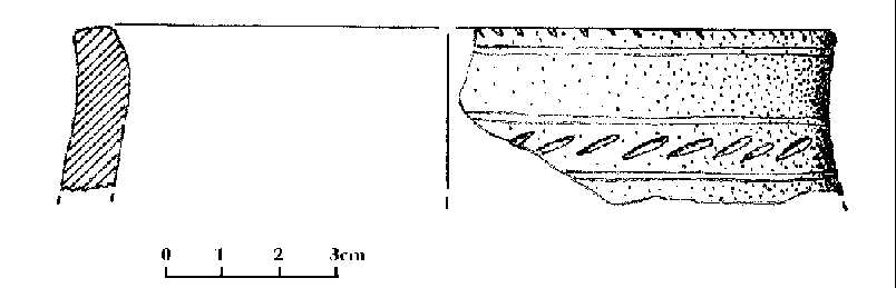 Drawing of fragments at Wells Museum