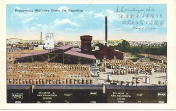 Cotton, Muskogee, OK