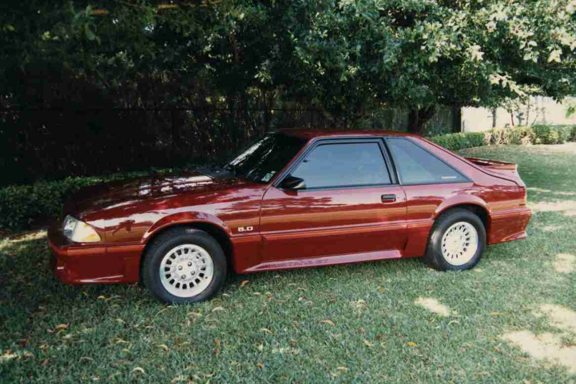 My_NewMustang.jpg (61741 bytes)
