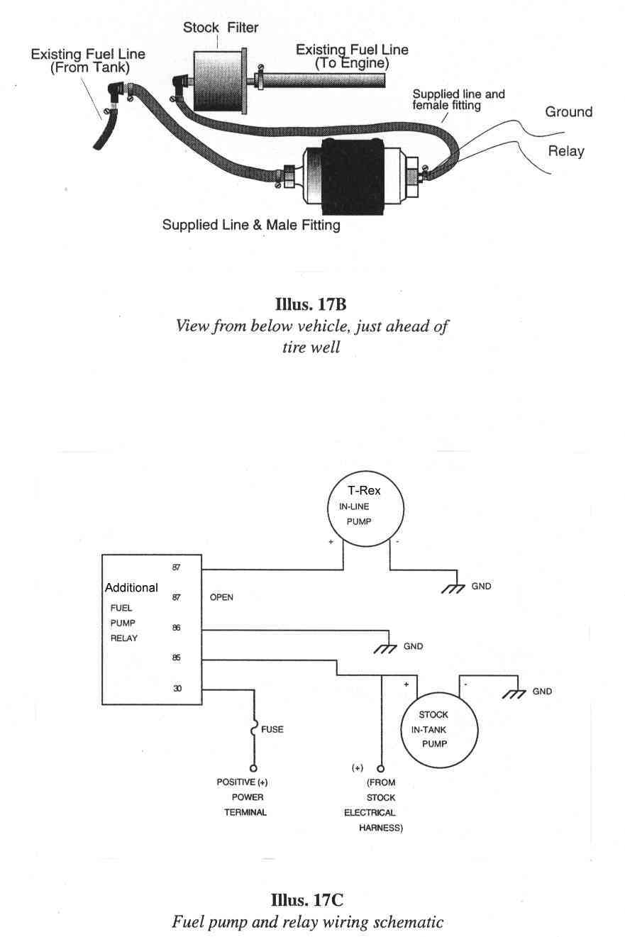 TRex_Install.jpg (43342 bytes)
