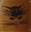 Click on the image to enlarge