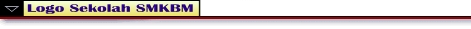 logosek.jpg (7702 bytes)