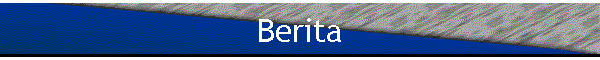 Berita