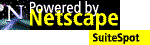 netscap2.gif (17130 bytes)