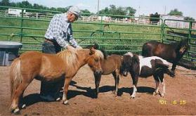 Tiffany, Rowdy's Image, Holly and Maggie