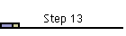 Step 13