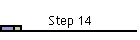 Step 14