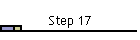 Step 17