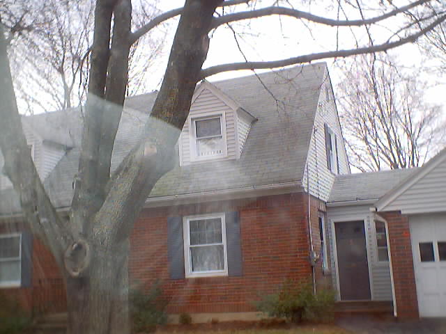 Website 105.jpg (52847 bytes)