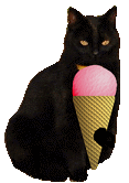 Smokey and her yogurt