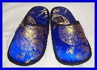 Blue Slippers
