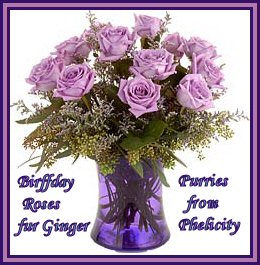 Gift from Phelicity