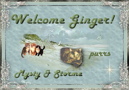 Welcome from Mysty & Storme