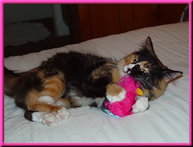 My furry furst mouse