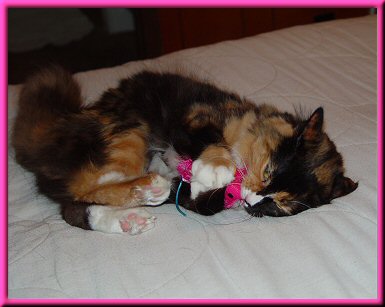My furry furst mouse