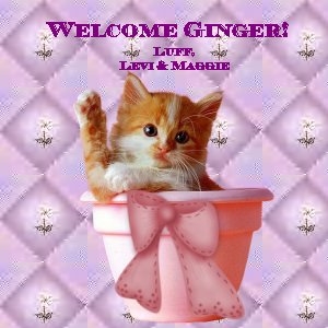 Welcome from Levi and Maggie