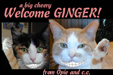 Welcome from Opie and c.c.