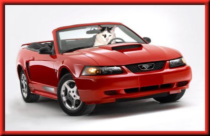 E.T.'s Car