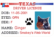 Ginger's Driver's License