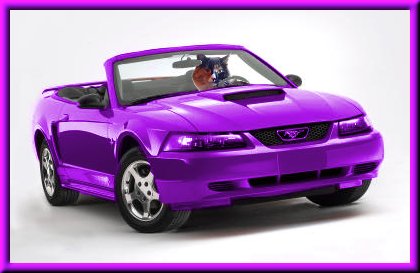 Ginger's Car