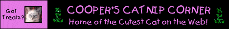 banner.gif