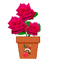 The Site Fights Spirit Flowers