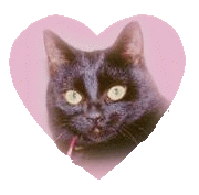 Memories of Smokey