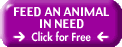 Animal Rescue Site