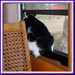 E.T. Window