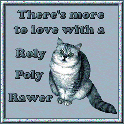 Roly Poly Rawers