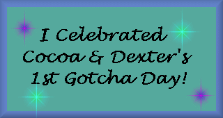 Dexter & Cocoa's Party Favor