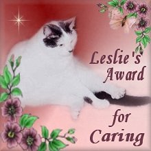 Leslie Anne's Award