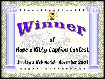 Kitty Caption Contest Award