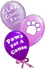 Balloon Souvenir