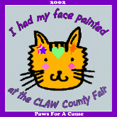 Face Painting Souvenir